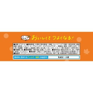 ビスコミニパック メープル 展開図